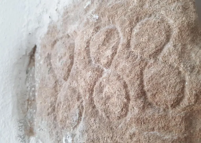 Moinho Branco بيت للعطل كالداس دا راينها